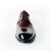 Fashion men dress shoe in burgundy cow leather and embossed leather